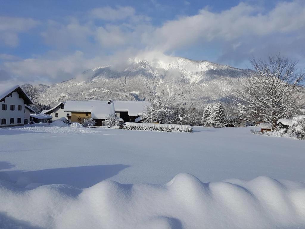 Chiemgauferienwohnungen - Wanderlust Und Alpenrose ウンターヴォッセン エクステリア 写真
